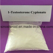 Rohes Steroiddihydroboldonon Cypionate / 1-Testosteron Cypionate (1-TC)